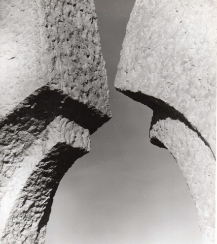 Luciano Ceschia, Cypresses, 1971