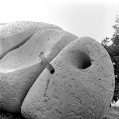 Raoul Goldoni, U dosluhu / Glava bika, 1978. Raoul Goldoni, U dosluhu / Glava bika, 1978.