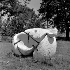 Raoul Goldoni, U dosluhu / Glava bika, 1978. Raoul Goldoni, U dosluhu / Glava bika, 1978.