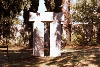 Petar Dolić, Porta nel futuro migliore, 2007